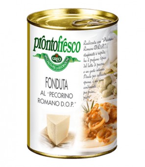 READY FRESH CREAM WITH ROMAN PECORINO DOP GR.400