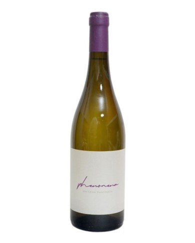 PHENOMENA VINO BIANCO MALVASIA PUNTINATA LAZIO IGT CL.75