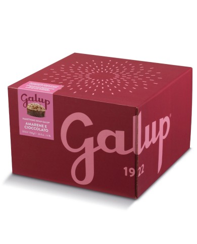 GALUP PANETTONE CHERRIES AND CHOCOLATE GLUTEN-FREE GR.400